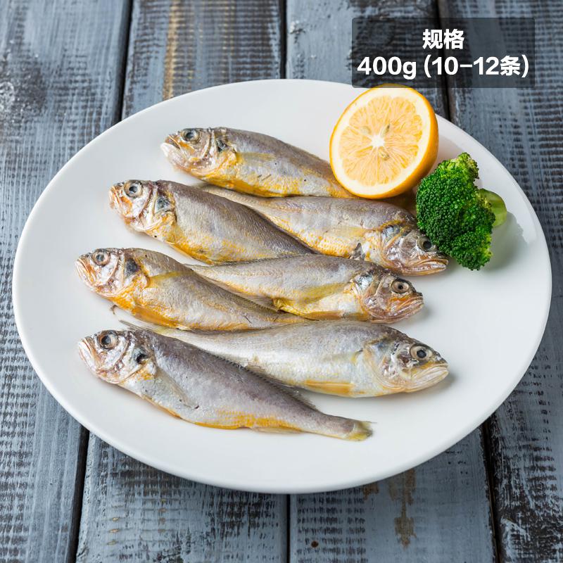 东海 小黄鱼 400g（10-12条）