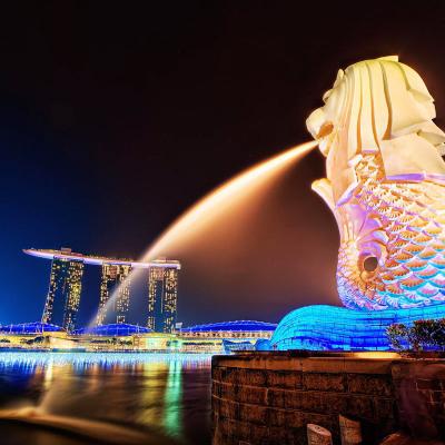 新加坡个人旅游签证 （上海送签）