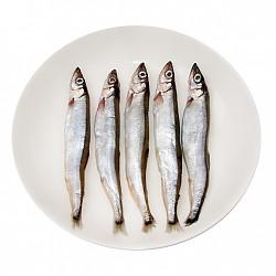 大洋世家 冷冻多春鱼 1kg 60-65条 袋装 烧烤食材 海鲜水产