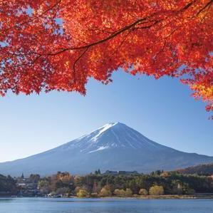 日本东京-富士山 拼车一日游