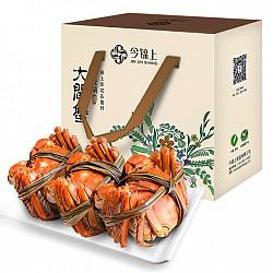 11号0点：今锦上 阳澄湖大闸蟹888型现货实物生鲜礼盒 公蟹3.5两 母蟹2.5两 4对8只装螃蟹
