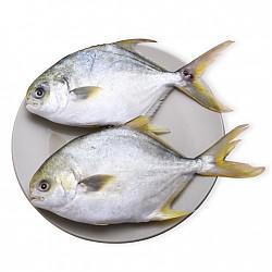 国联(GUO LIAN) 冷冻金鲳鱼 700g 2条 烧烤食材 海鲜水产