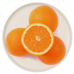 澳大利亚 进口橙 6个 单果约150-180g