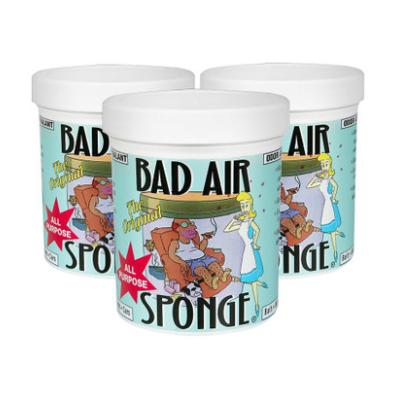 Bad Air Sponge 甲醛装修异味空气净化剂 400g 3瓶装 *2件