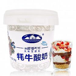 双重优惠 青海湖 无糖牦牛酸奶 无添加风味发酵乳1kg *6件