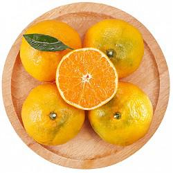 蜜桔（蜜橘）柑橘 橘子 桔子 约2.5kg 新鲜水果 *8件+凑单品