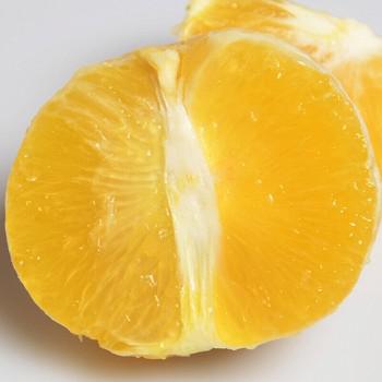 湖南怀化 冰糖橙单果果径50-65mm2.5kg