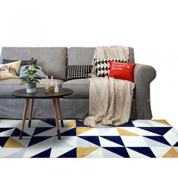 北欧地毯客厅简约现代沙发茶几地毯H款 80cm*120cm