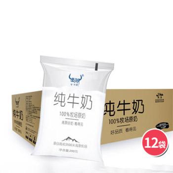 圣湖 青海特产纯牛奶200g*12袋