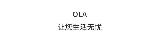 Ola 家用防盗智能锁 OlaX 双色款可选 +凑单品