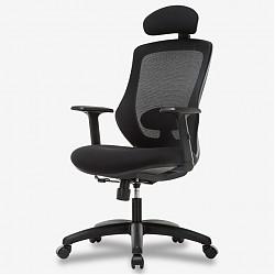 联丰 LIANFENG 人体工学电脑椅子 休闲转椅 DS-169黑色
