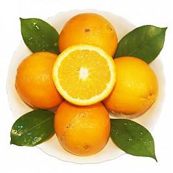 悠汇园 澳州丑橙 澳大利亚脐橙 8个