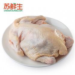 苏宁易购 湘佳冰鲜仔鸡1.05kg