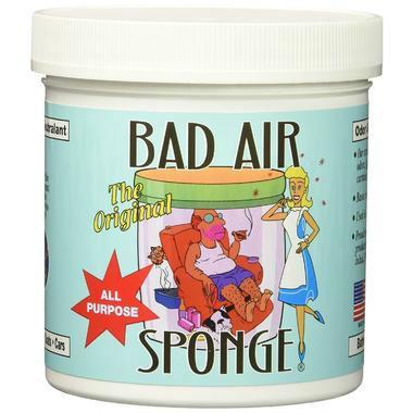 Bad Air Sponge 除甲醛空气净化剂 400g *5盒