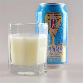 宜养 乳酸菌奶啤  300ml*6瓶