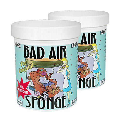 BAD AIR SPONGE 空气净化剂 除甲醛 400g*2罐