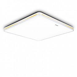 松下（Panasonic）LED吸顶灯遥控连续调光卧室灯客厅灯具HHLAZ1647 透明加金色亮条装饰带