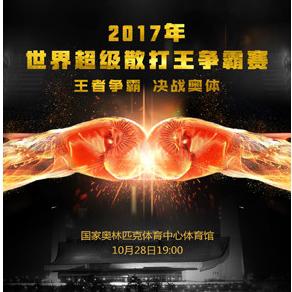 2017世界超级散打王争霸赛  北京站