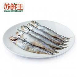 多春鱼8条/包125g以上海鲜水产