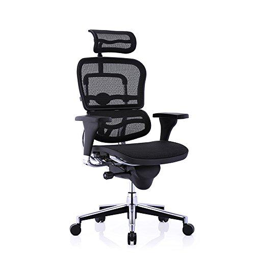 Ergonor 保友办公家具 人体工学电脑椅 金豪标准版*2件