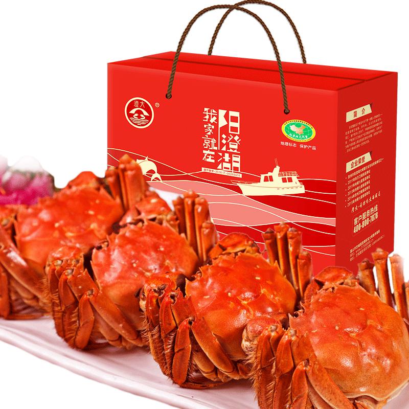 澄大 六月黄大闸蟹鲜活螃蟹 买6送4 礼盒装 单只1.6两