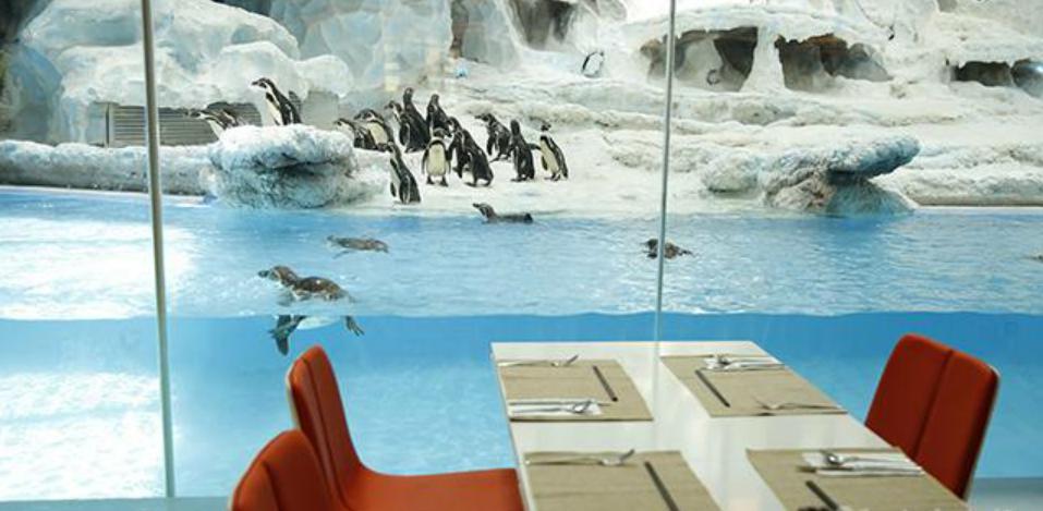 珠海长隆企鹅酒店2晚+海洋王国门票+自助晚餐