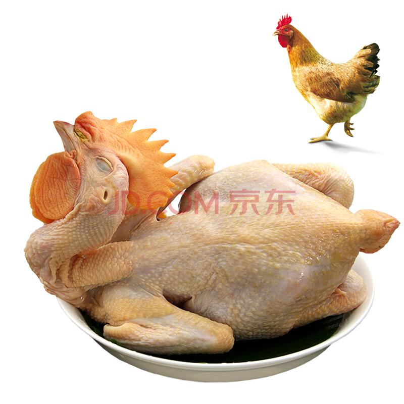 1温氏 供香港 童子鸡 1000克/袋 整只装 农养鸡 谷饲散养 公鸡 土鸡