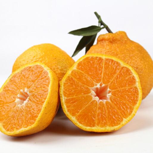 乐润 四川不知火丑桔柑橘  2.5kg（单果约250-350g）