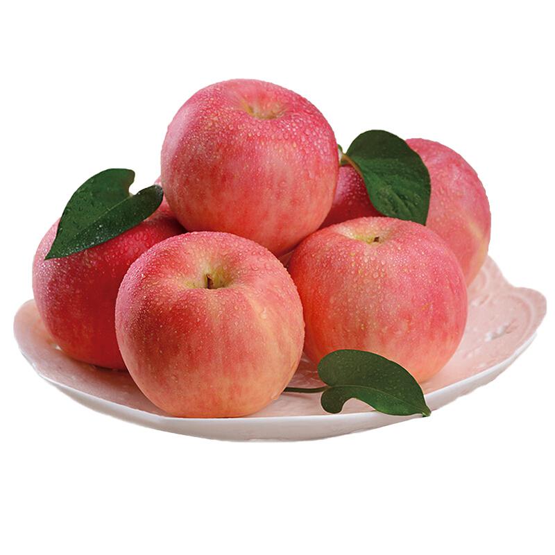 河南馆 红富士苹果约2.5kg