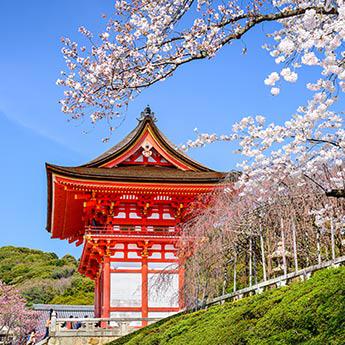 广州领区 日本单次旅游签证