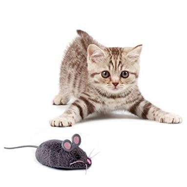 HEXBUG 赫宝宠物 玩具系列 猫之宠 小老鼠玩具