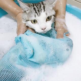 碧净 洗猫袋 3色可选 送洗澡刷+宠物湿巾