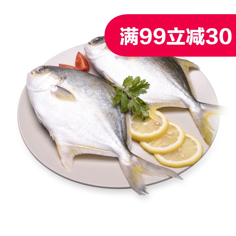 广东金鲳鱼 500g(2条装)