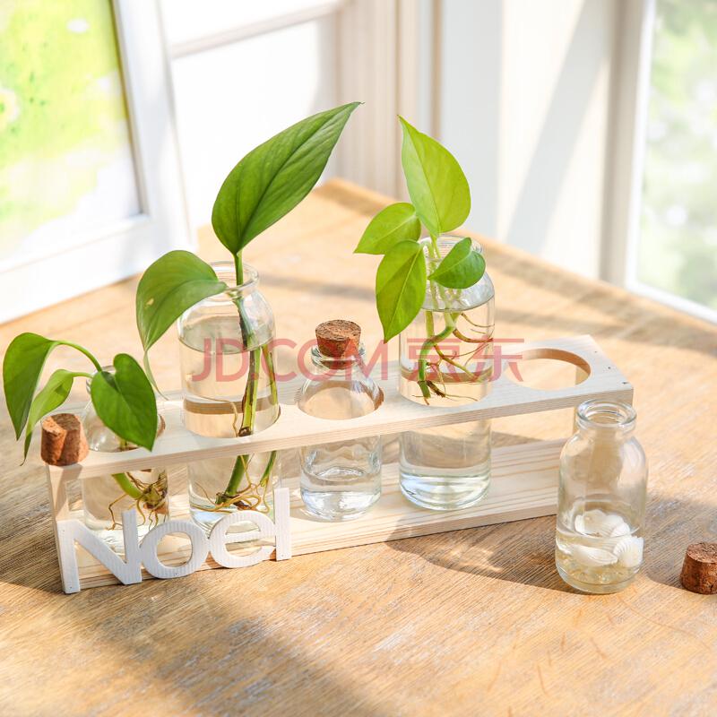 米子家居 透明玻璃五联装饰花瓶绿萝水培植物器皿 *3件95.76元（合31.92元/件）