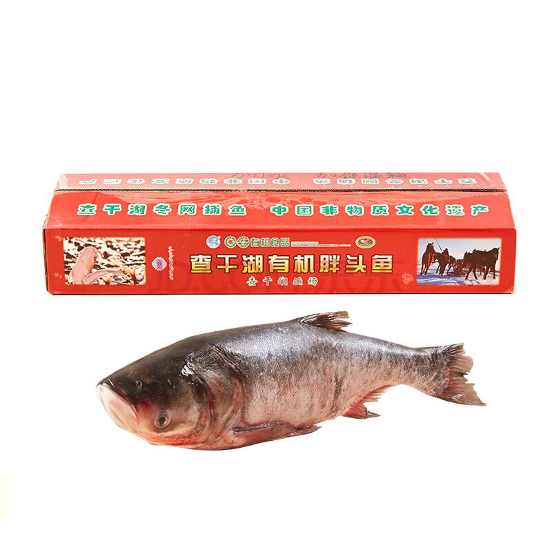 查干湖鱼 冷冻有机胖头鱼 冬捕二号 13.5-14斤 1条 海鲜礼盒117.25元