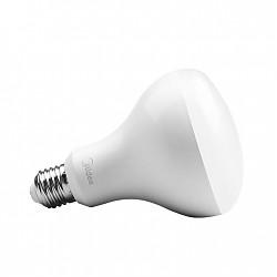 美的（Midea） 32w LED灯泡 E27大螺口节能商用 正白光5700K *3件189.6元（合63.2元/件）