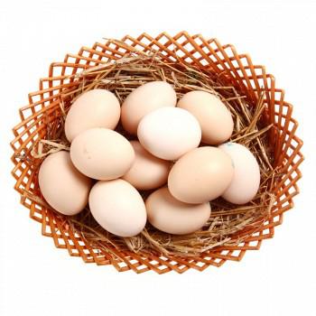 限地区：晋龙 鲜鸡蛋 六无蛋 30+16枚